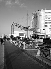 横山公司注册